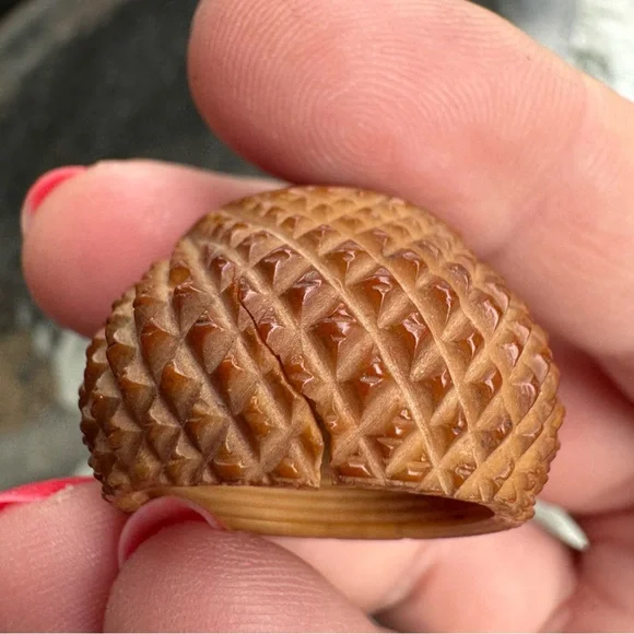 Rare Antique 1880 Sewing Thimble Holder Acorn Coquilla Nut Vegetable Ivory Tagua - Picture 4 of 11